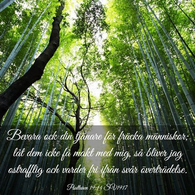 Picture 03 - Psaltaren 19:14 SV1917 - Bevara ock din tjänare för fräcka människor; - Bible Verse Picture
