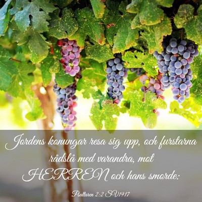 Picture 03 - Psaltaren 2:2 SV1917 - Jordens konungar resa sig upp, och furstarna - Bible Verse Picture