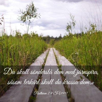 Picture 03 - Psaltaren 2:9 SV1917 - Du skall sönderslå dem med järnspira, såsom - Bible Verse Picture