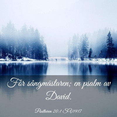 Picture 03 - Psaltaren 20:1 SV1917 - För sångmästaren; en psalm av - Bible Verse Picture