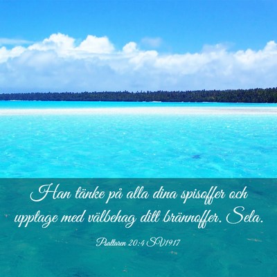 Picture 03 - Psaltaren 20:4 SV1917 - Han tänke på alla dina spisoffer och upptage - Bible Verse Picture