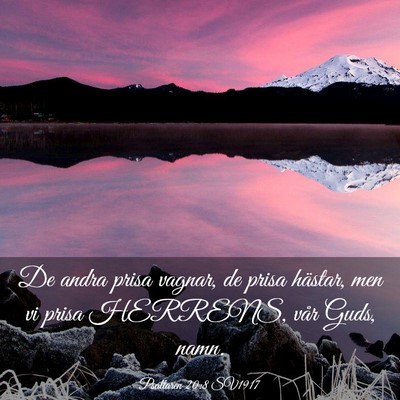 Picture 03 - Psaltaren 20:8 SV1917 - De andra prisa vagnar, de prisa hästar, men vi - Bible Verse Picture