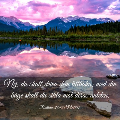Picture 03 - Psaltaren 21:13 SV1917 - Nej, du skall driva dem tillbaka; med din båge - Bible Verse Picture