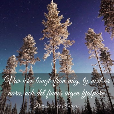 Picture 03 - Psaltaren 22:12 SV1917 - Var icke långt ifrån mig, ty nöd är nära, - Bible Verse Picture