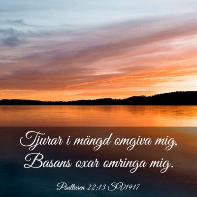 Picture 03 - Psaltaren 22:13 SV1917 - Tjurar i mängd omgiva mig, Basans oxar omringa - Bible Verse Picture