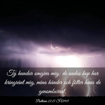 Picture 03 - Psaltaren 22:17 SV1917 - Ty hundar omgiva mig; de ondas hop har kringränt - Bible Verse Picture