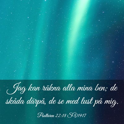 Picture 03 - Psaltaren 22:18 SV1917 - Jag kan räkna alla mina ben; de skåda därpå, - Bible Verse Picture