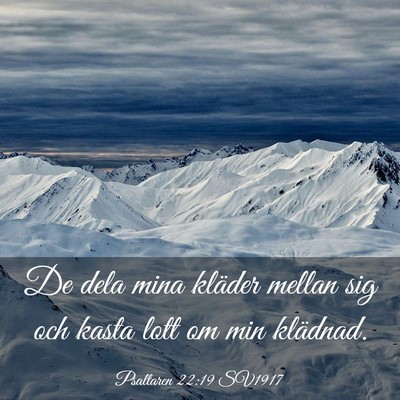 Picture 03 - Psaltaren 22:19 SV1917 - De dela mina kläder mellan sig och kasta lott om - Bible Verse Picture