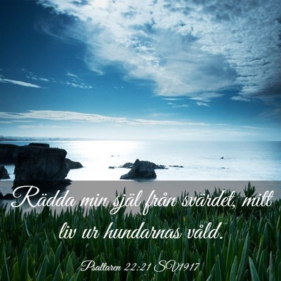 Picture 03 - Psaltaren 22:21 SV1917 - Rädda min själ från svärdet, mitt liv ur - Bible Verse Picture