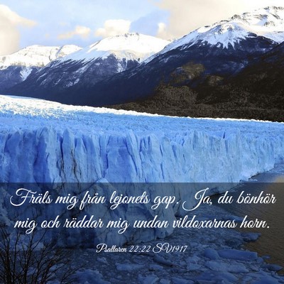 Picture 03 - Psaltaren 22:22 SV1917 - Fräls mig från lejonets gap. Ja, du bönhör - Bible Verse Picture