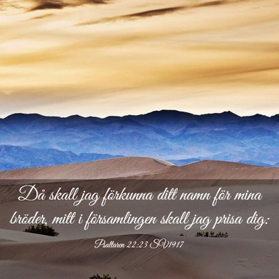 Picture 03 - Psaltaren 22:23 SV1917 - Då skall jag förkunna ditt namn för mina - Bible Verse Picture