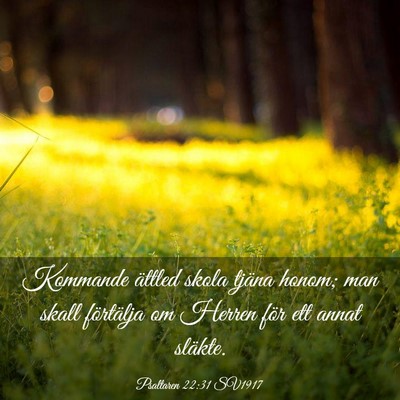 Picture 03 - Psaltaren 22:31 SV1917 - Kommande ättled skola tjäna honom; man skall - Bible Verse Picture