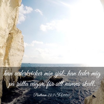 Picture 03 - Psaltaren 23:3 SV1917 - han vederkvicker min själ; han leder mig på - Bible Verse Picture
