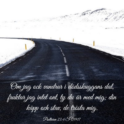Picture 03 - Psaltaren 23:4 SV1917 - Om jag ock vandrar i dödsskuggans dal, fruktar - Bible Verse Picture