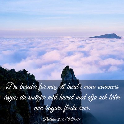 Picture 03 - Psaltaren 23:5 SV1917 - Du bereder för mig ett bord i mina ovänners - Bible Verse Picture