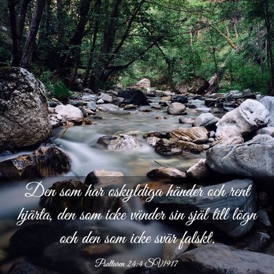 Picture 03 - Psaltaren 24:4 SV1917 - Den som har oskyldiga händer och rent hjärta, - Bible Verse Picture