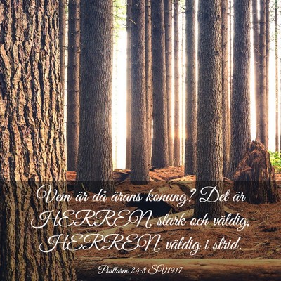 Picture 03 - Psaltaren 24:8 SV1917 - Vem är då ärans konung? Det är HERREN, stark - Bible Verse Picture