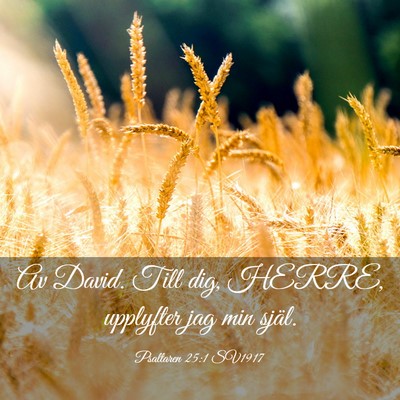 Picture 03 - Psaltaren 25:1 SV1917 - Av David. Till dig, HERRE, upplyfter jag min - Bible Verse Picture
