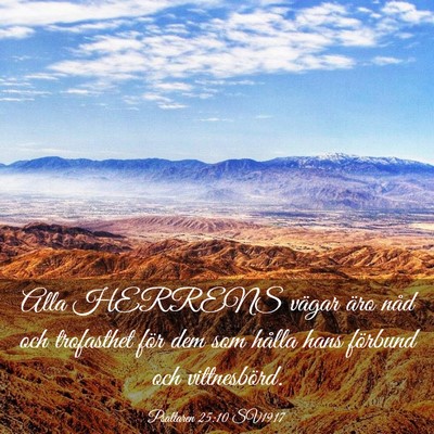 Picture 03 - Psaltaren 25:10 SV1917 - Alla HERRENS vägar äro nåd och trofasthet för - Bible Verse Picture