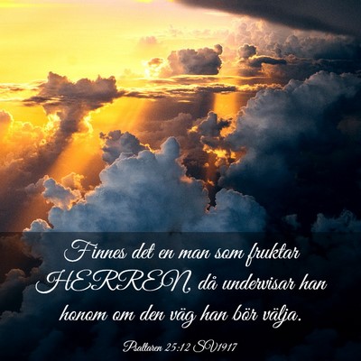 Picture 03 - Psaltaren 25:12 SV1917 - Finnes det en man som fruktar HERREN, då - Bible Verse Picture