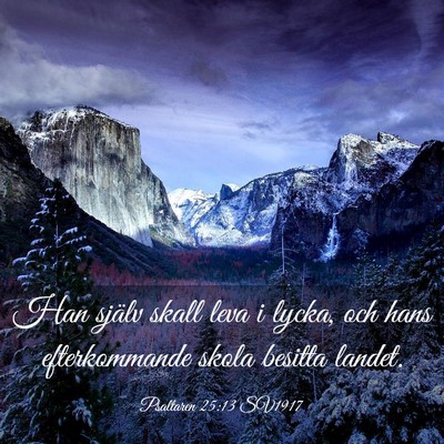 Picture 03 - Psaltaren 25:13 SV1917 - Han själv skall leva i lycka, och hans - Bible Verse Picture