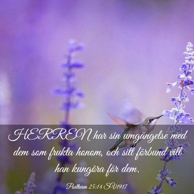 Picture 03 - Psaltaren 25:14 SV1917 - HERREN har sin umgängelse med dem som frukta - Bible Verse Picture