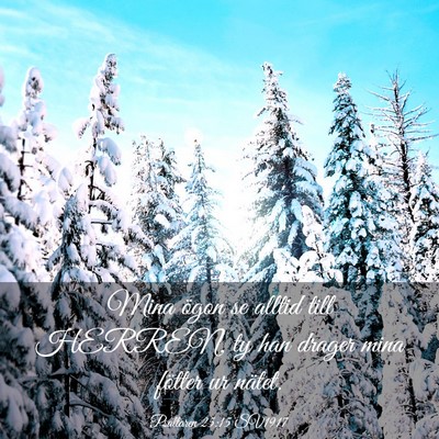 Picture 03 - Psaltaren 25:15 SV1917 - Mina ögon se alltid till HERREN, ty han drager - Bible Verse Picture