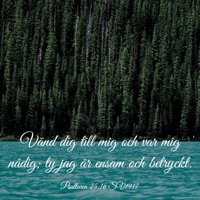 Picture 03 - Psaltaren 25:16 SV1917 - Vänd dig till mig och var mig nådig; ty jag är - Bible Verse Picture