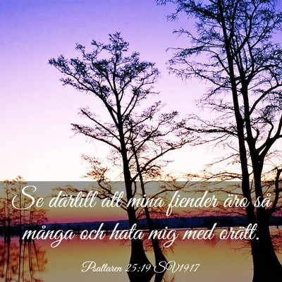 Picture 03 - Psaltaren 25:19 SV1917 - Se därtill att mina fiender äro så många och - Bible Verse Picture