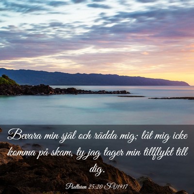Picture 03 - Psaltaren 25:20 SV1917 - Bevara min själ och rädda mig; låt mig icke - Bible Verse Picture