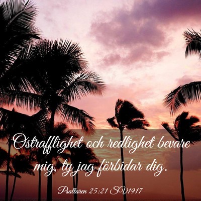 Picture 03 - Psaltaren 25:21 SV1917 - Ostrafflighet och redlighet bevare mig, ty jag - Bible Verse Picture