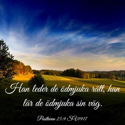 Picture 03 - Psaltaren 25:9 SV1917 - Han leder de ödmjuka rätt, han lär de ödmjuka - Bible Verse Picture