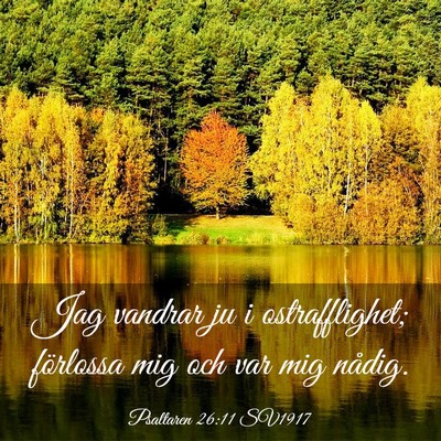 Picture 03 - Psaltaren 26:11 SV1917 - Jag vandrar ju i ostrafflighet; förlossa mig och - Bible Verse Picture