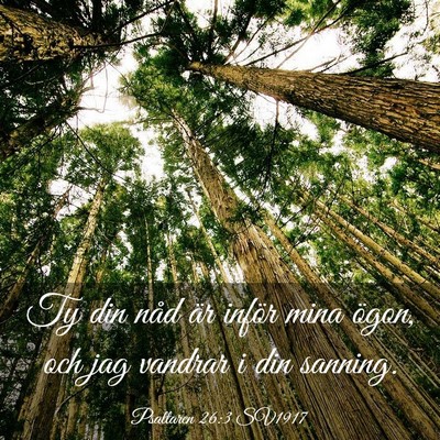 Picture 03 - Psaltaren 26:3 SV1917 - Ty din nåd är inför mina ögon, och jag - Bible Verse Picture