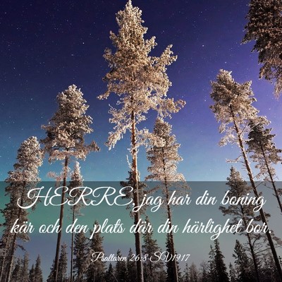 Picture 03 - Psaltaren 26:8 SV1917 - HERRE, jag har din boning kär och den plats där - Bible Verse Picture