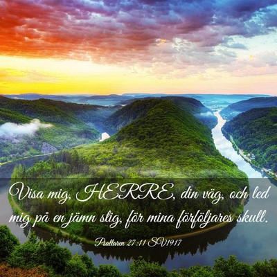 Picture 03 - Psaltaren 27:11 SV1917 - Visa mig, HERRE, din väg, och led mig på en - Bible Verse Picture