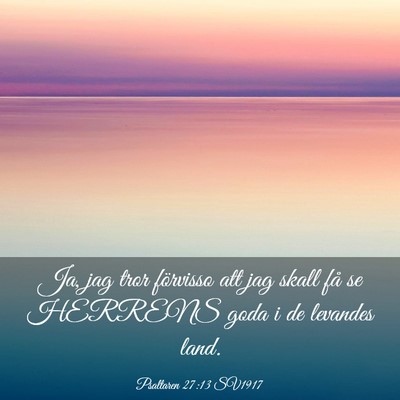 Picture 03 - Psaltaren 27:13 SV1917 - Ja, jag tror förvisso att jag skall få se - Bible Verse Picture