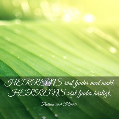 Picture 03 - Psaltaren 29:4 SV1917 - HERRENS röst ljuder med makt, HERRENS röst - Bible Verse Picture