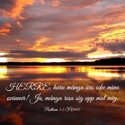 Picture 03 - Psaltaren 3:2 SV1917 - HERRE, huru många äro icke mina ovänner! Ja, - Bible Verse Picture