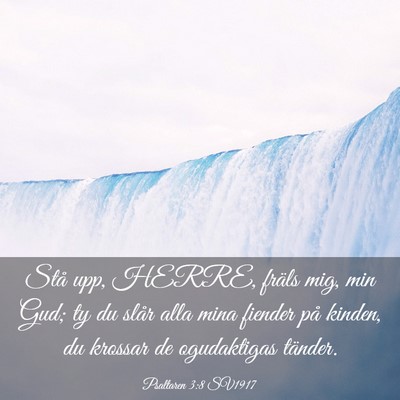Picture 03 - Psaltaren 3:8 SV1917 - Stå upp, HERRE, fräls mig, min Gud; ty du slår - Bible Verse Picture