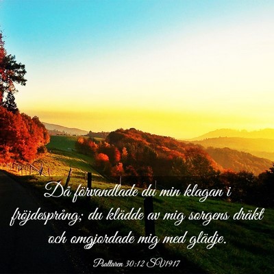 Picture 03 - Psaltaren 30:12 SV1917 - Då förvandlade du min klagan i fröjdesprång; - Bible Verse Picture