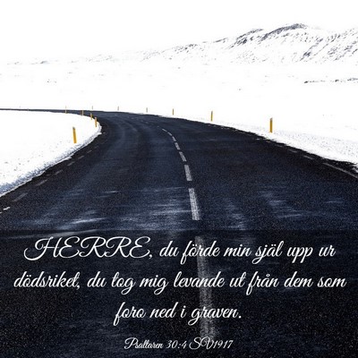 Picture 03 - Psaltaren 30:4 SV1917 - HERRE, du förde min själ upp ur dödsriket, du - Bible Verse Picture