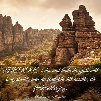 Picture 03 - Psaltaren 30:8 SV1917 - HERRE, i din nåd hade du gjort mitt berg starkt; - Bible Verse Picture