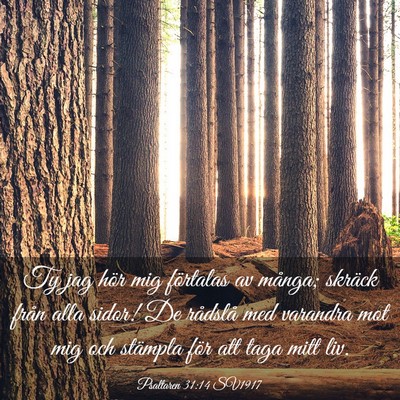 Picture 03 - Psaltaren 31:14 SV1917 - Ty jag hör mig förtalas av många; skräck - Bible Verse Picture