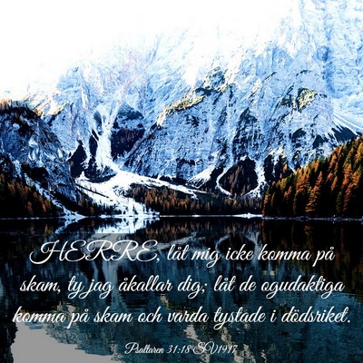 Picture 03 - Psaltaren 31:18 SV1917 - HERRE, låt mig icke komma på skam, ty jag - Bible Verse Picture