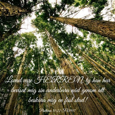 Picture 03 - Psaltaren 31:22 SV1917 - Lovad vare HERREN, ty han har bevisat mig sin - Bible Verse Picture
