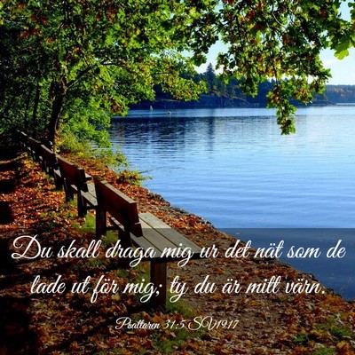 Picture 03 - Psaltaren 31:5 SV1917 - Du skall draga mig ur det nät som de lade ut - Bible Verse Picture