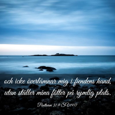 Picture 03 - Psaltaren 31:9 SV1917 - och icke överlämnar mig i fiendens hand, utan - Bible Verse Picture