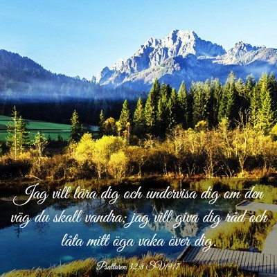 Picture 03 - Psaltaren 32:8 SV1917 - Jag vill lära dig och undervisa dig om den väg - Bible Verse Picture