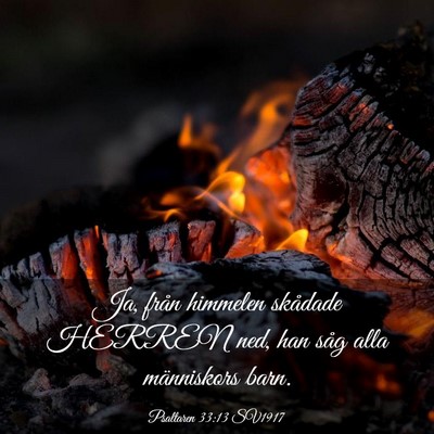 Picture 03 - Psaltaren 33:13 SV1917 - Ja, från himmelen skådade HERREN ned, han såg - Bible Verse Picture